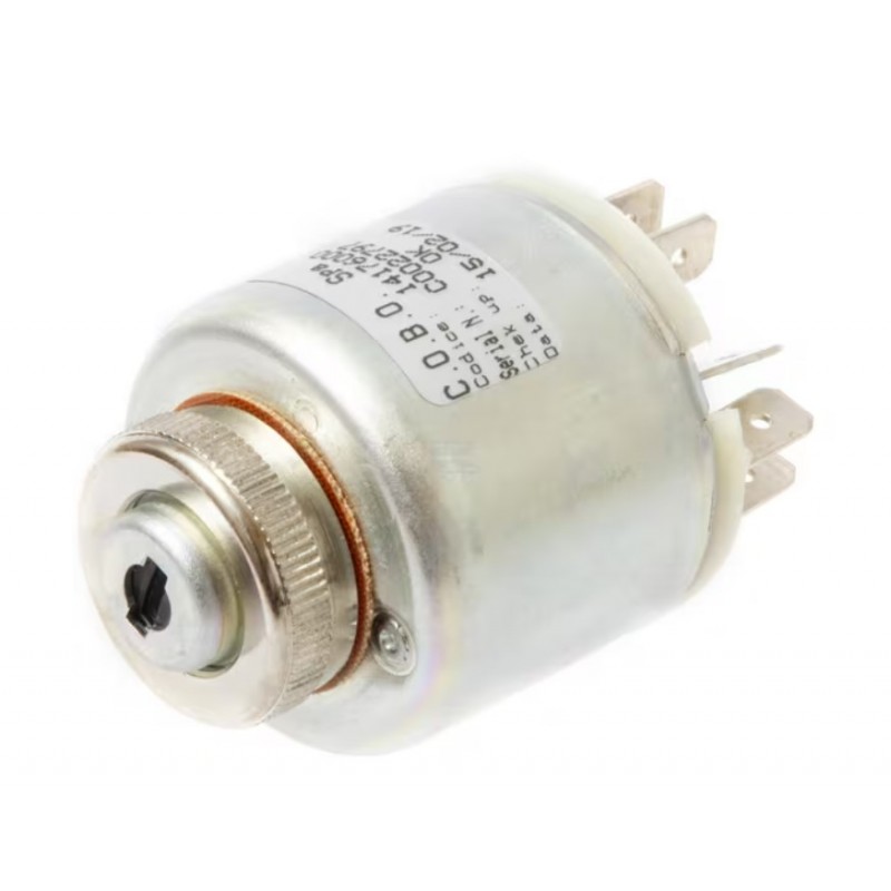 Ignition switch  14176100